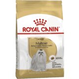 Royal Canin Breed Nutrition Maltezer | ePonuda.com