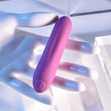 Playboy Pleasure Playboy Bullet Wild Aster Cene