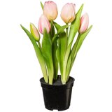 Modern Living Umetna Rastlina Tulpe I Cene