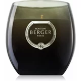 Maison Berger Paris Holly Amber Powder dišeča sveča 200 g