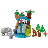Lego DUPLO: Družine divjih živali 3v1 | Shoptok.si