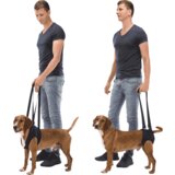 Trixie Pojas za pomoć pri kretanju Dog Walking Aid | ePonuda.com