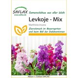 Saflax Matijola | Shoptok.si