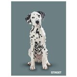 STREET Zvezek Friends A4 črte z robom | Shoptok.si