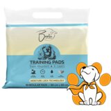 BESTA regular prostirke za pse 10 kom, 60x60cm