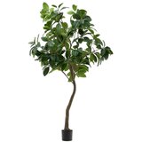 Kave Home Umetni fikus (višina 210 cm) Ficus – Cene