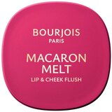 Bourjois Macaron Melt Lip & Cheek Flush rumenilo 2 u 1 nijansa 04 Pink Guava 5 g Cijene