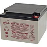 Genesis NP24-12 svinčeni akumulator 12 V 24 Ah svinčevo-koprenast (Š x V x G) 166 x 125 x 175 mm M5-vijačni priklop brez vzdrževanja\, vds certifikacija\, nizko samopraznjenje\, obst, (20438736)