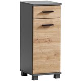 Stylife Spodnja Omarica Palermo, Antracit, Barva Hrasta Cene