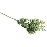 RAYHER Veljica pušpan, 40cm, (20634010) Cene