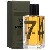 Iceberg Eau de Amber 100 ml toaletna voda za moške Cijene