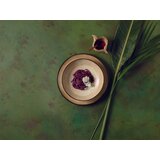 ARTHUR KRUPP tanjir duboki 22cm Shade Matt Earth Stoneware | ePonuda.com