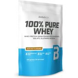 Biotechusa 100% pure whey – premium izolat surutke sa 24g proteina po obroku - lešnik 454g | ePonuda.com