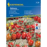 KIEPENKERL Češnjev paradižnik Delicacy Kiepenkerl (Solanum lycopersicum) Cene