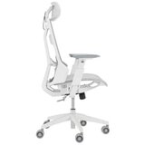 Asus Stol ROG Destrier Core, bel, (5000075623) | Shoptok.si