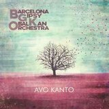  BGKO - AVO KANTO | Eponuda.com