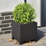 Furnova Vrtno korito 2 kosa črna 30x30x30 cm jeklo, (21920897) Cene