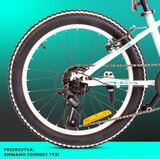  Dječji bicikl Tiger 20" RevoShift Shimano 6 brzina bijelo-zeleni | shoptok.hr