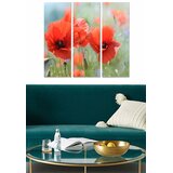 Wallity Set slika MDF2391025, 3 dijela | Eponuda.ba