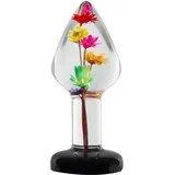 Helichrysum Garden Flower Butt Plug Transparent