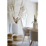 Light & Living Krem podstavljena blagovaonska stolica Elyna – | shoptok.hr