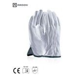 Ardon Rukavice Bundy/ kožne/ bela | ePonuda.com