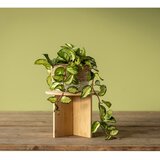 Esschert Design Bambusov stalak za tegle za cvijeće ø 25 cm (visina 19,5 cm) – | shoptok.hr