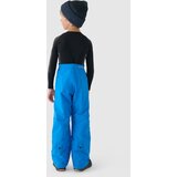 4f Boys' ski pants | ePonuda.com