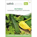 Sativa Bučke zelene "Mutabile" | Shoptok.si