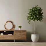 P & B NAMIZNA LED-SVETILKA 49/49/5,5 cm | Shoptok.si