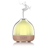 In difuzor (400 ml, Ø x V: 149 cm x 160 mm) Cijene