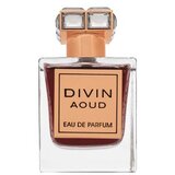 French Avenue Divin Aoud 100ml | Eponuda.com