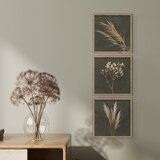 Styler Plakati v kompletu 3 ks z okvirjem 30x30 cm Pampas – | Shoptok.si