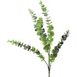 Mondex umetna vejica plastika Viridis Eukaliptus 80cm zelena 1 kos, (5000329486) | Shoptok.si