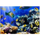  Tapeta - Underwater adventure 350x245 | shoptok.hr