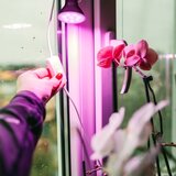  LED sijalica za uzgoj biljaka PLANTY E27/7W/230V 1200K crna | Eponuda.com