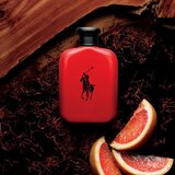 Polo Ralph Lauren Polo Red toaletna voda za moške 40 ml | Shoptok.si