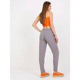 Sublevel Pants-D73761M61869L-gray | Shoptok.si