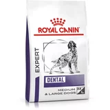Royal Canin Expert Canine Dental - 13 kg