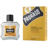 Proraso Balzam za bradu Wood and Spice 100ml Cene