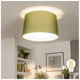  Brilagi - LED plafonski luster CERIA 1xE27/40W/230V, prečnik 45 cm, zelena | Eponuda.com