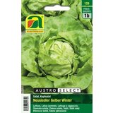 AUSTROSAAT Zelena solata Neusiedler Gelber Winter Cene