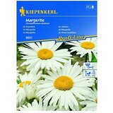 KIEPENKERL Profi-Line Cvetlična semena Vrtna ivanjščica (Chrysantemum maximum, Bela, Rumena) | Shoptok.si