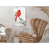  Slika za samostalno slikanje - Red Bird 40x60 | shoptok.hr