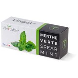 Veritable Lingot® Mint | shoptok.hr
