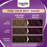 Schwarzkopf Palette Intensive Color Creme permanentna barva za lase odtenek 6-99 (V5) Intense Violet 1 kos | Shoptok.si