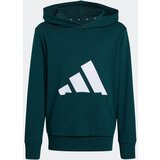 Adidas Duks za dečake J Bl Ft Hd 280, Crni | ePonuda.com