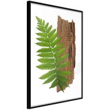  Poster - Expressive Ferm 40x60 | shoptok.hr