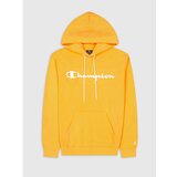 Champion Hooded Sweatshirt