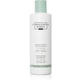 Christophe Robin Hydrating Shampoo with Aloe Vera vlažilni šampon z aloe vero 250 ml Cene